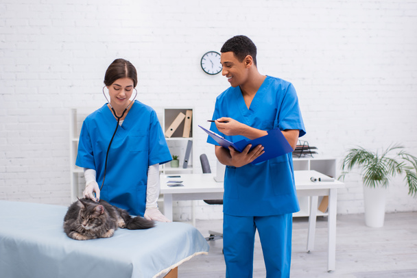 Smiling interracial veterinarians with clipboard examining maine coon in clinic  - Foto, afbeelding