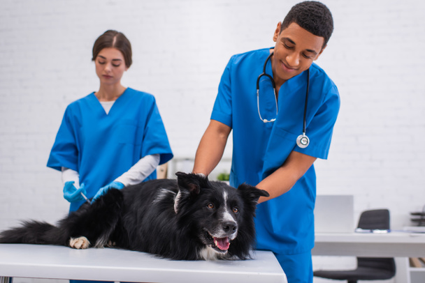 Positive african american veterinarian looking at border collie near colleague with syringe in clinic  - Foto, Imagem