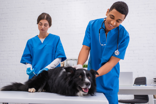 Veterinarian doing vaccination of border collie near smiling african american colleague in uniform in clinic  - Fotó, kép