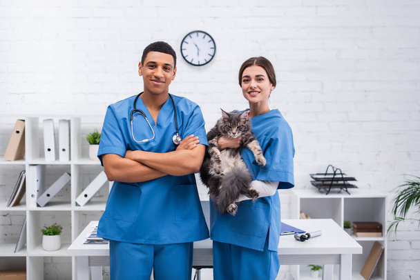 Positive interracial vet doctors holding maine coon cat and looking at camera in clinic  - Fotografie, Obrázek