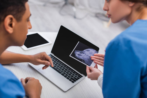 Blurred multiethnic veterinarians working with ultrasound scan of animal in clinic - Fotoğraf, Görsel