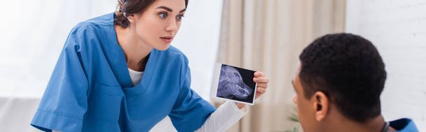 Vet doctor holding ultrasound scan of animal near african american colleague in clinic, banner  - Фото, изображение