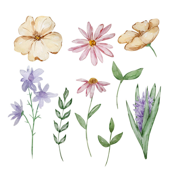 Watercolor set of garden flowers and green leaves - Foto, imagen