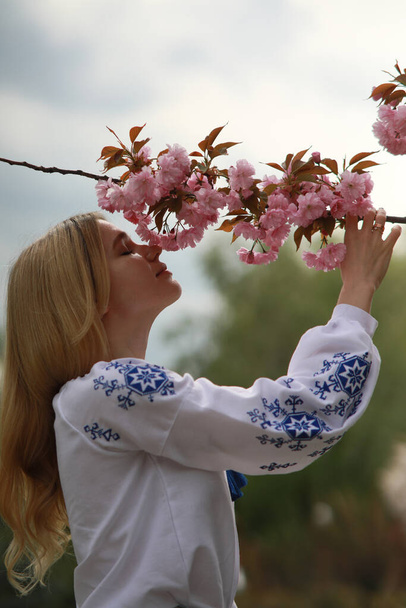 Young blonde woman sniffs flowers of blooming sakura branch in garden dressed in Ukrainian embroidered shirt and enjoys by it with closed eyes. - Фото, изображение