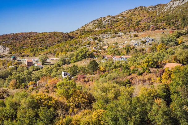 Beautiful autumn view on the yellow trees, Montenegro - Foto, imagen