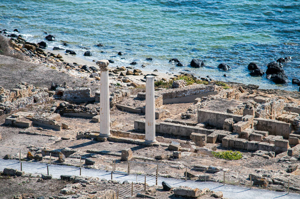 Розкопки в Норі (Сардинія) - стародавні колони в історичній місцевості. - Фото, зображення