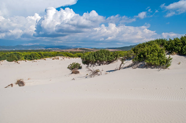 Large sand dune on the beach near the town of Porto Pino on the island of Sardinia - 写真・画像