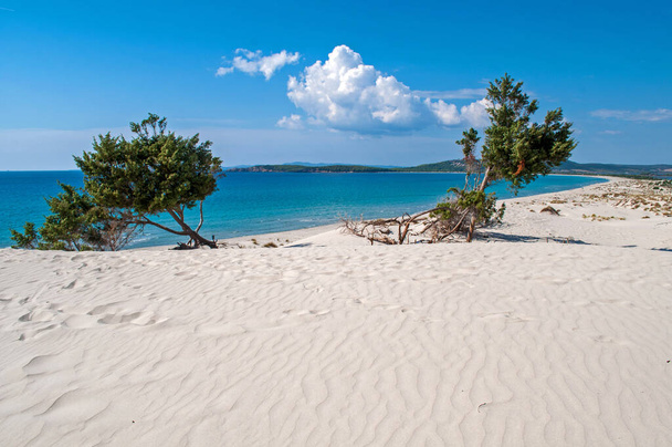 Μεγάλος αμμόλοφος στην παραλία κοντά στην πόλη Πόρτο Πίνο στο νησί της Σαρδηνίας - Φωτογραφία, εικόνα