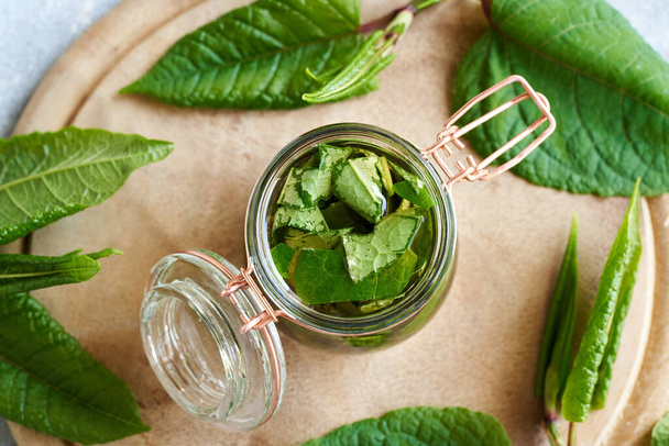 A jar filled with japanese knotweed leaves and alcohol - preparation of homemade herbal tincture - Photo, Image