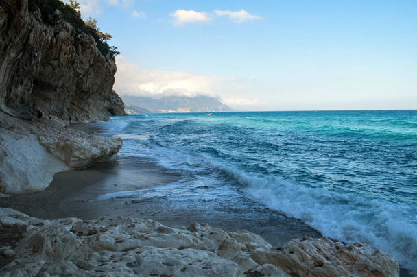 Μικρή παραλία Cala Luna στη δυτική ακτή του νησιού της Σαρδηνίας (Ιταλία)) - Φωτογραφία, εικόνα