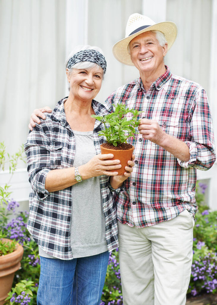 Wir hatten noch nie Zeit zum Gärtnern. Ein glückliches Seniorenpaar bei der Gartenarbeit im Hinterhof. - Foto, Bild