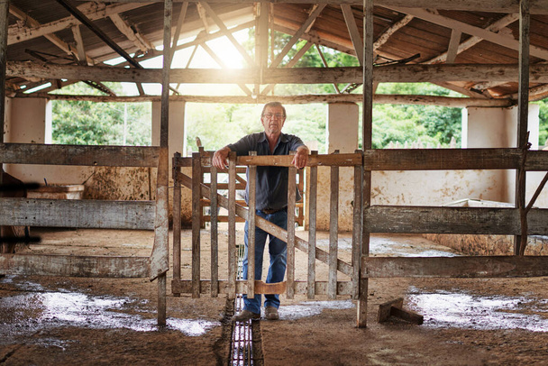 この農場は私の誇りと喜びです。彼の農場の納屋に立つ成熟した農家の完全な長さの肖像画. - 写真・画像