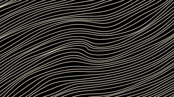 Lines move slowly in waves on black background. Motion. Thin lines move in waves. Background of stream of curved wavy threads - Footage, Video
