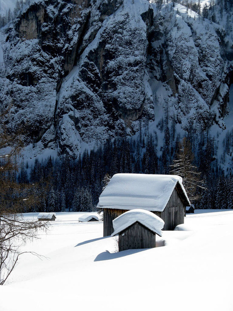 зачарованный пейзаж после сильного снегопада
 - Фото, изображение