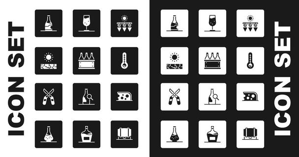 Set Drying grapes, Bottles of wine box, Drought, Meteorology thermometer, Wine glass, Cheese and Gardening scissors icon. Vector - ベクター画像