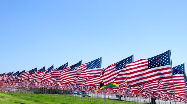 Американские флаги на поле
 - Фото, изображение