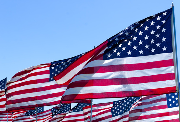 Американские флаги на поле
 - Фото, изображение