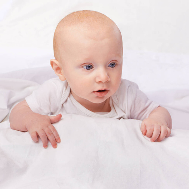 The world holds many wonders ahead for him. Cropped shot of an adorable baby boy in a studio. - Foto, Imagem