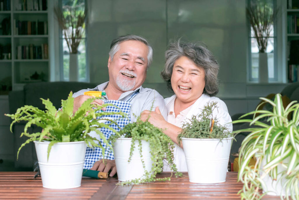Asiatique couple âgé sourire prendre soin des plantes, heureux couple jardinage style de vie senior plantation d'arbres concept - Photo, image