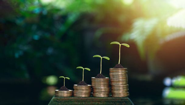 saving Investment, trade, save and make a profit with interest, Growing Money, Plant On Coins, Finance And Investment Concept, trading, trader, investor, invest, metaverse - Foto, Imagen
