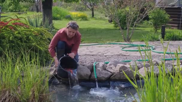 Kobieta wylewa złotą rybkę z wiadra do dekoracyjnego stawu rybnego w ogrodzie - Materiał filmowy, wideo