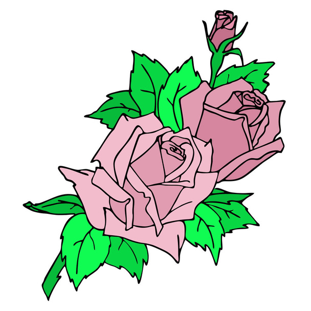 color graphic card with a branch of a pink rose on a white background, contour drawing, art - Vector, Image