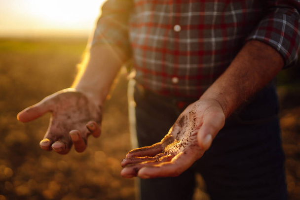 Expert hand of farmer checking soil health before growth a seed of vegetable or plant seedling.  Agriculture, organic gardening, planting or ecology concept. - Foto, Imagem