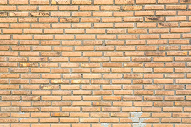 grunge brick wall - 写真・画像