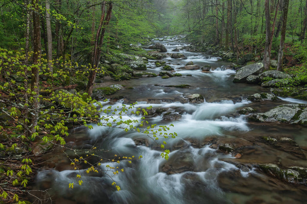 Spring landscape of Big Creek captured with motion blur, Great Smoky Mountains National Park, Tennessee, USA - Photo, Image