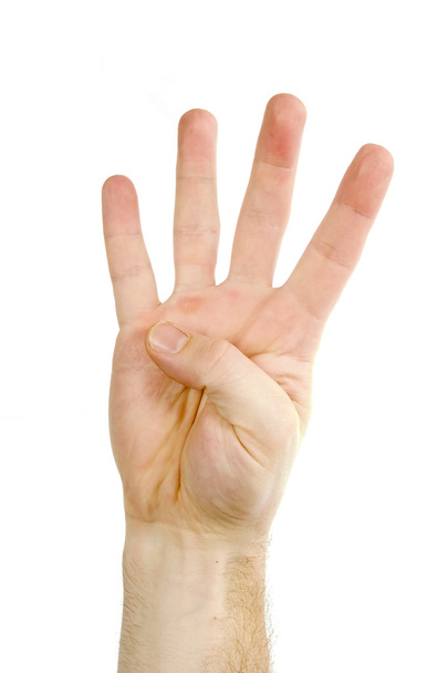 Four Fingers Isolated - Foto, Bild
