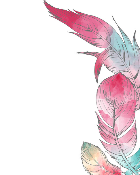 619 _ plumas de aves, plumas de aves gráficas, dibujo de acuarela sobre fondo blanco, pelusa de colores sobre fondo blanco - Vector, imagen