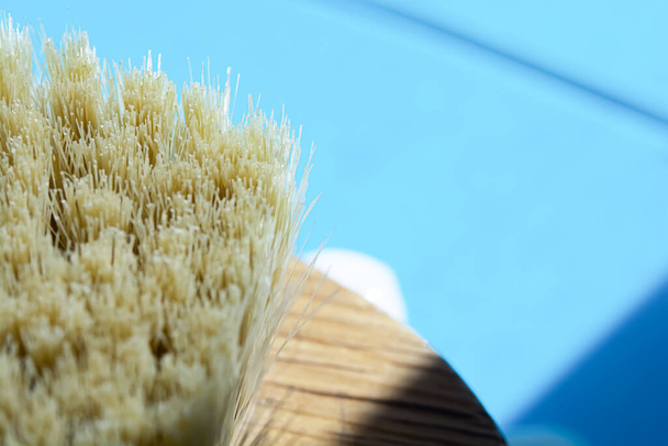 Macro photo of cactus fiber brush. Spa beauty concept. - Photo, image