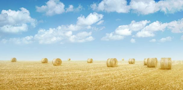 Hay bales in a field of dried yellow grass under blue sky with clouds, countryside landscape - Photo, Image