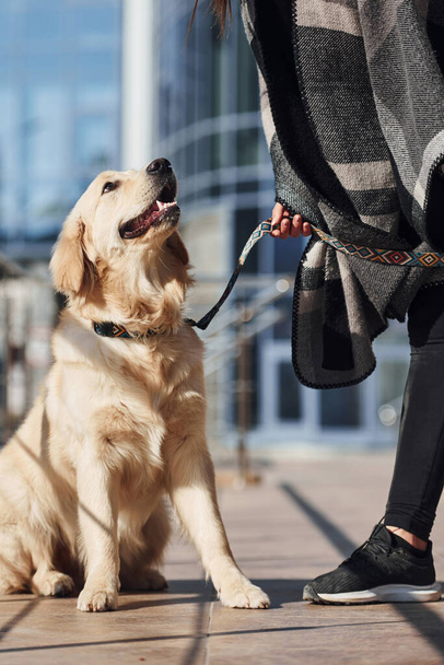 Jeune femme positive s'amuser avec son chien quand avoir une promenade à l'extérieur près de bâtiment d'affaires. - Photo, image