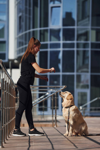 Young positive woman have fun and doing tricks with her dog when have a walk outdoors near business building. - Fotoğraf, Görsel