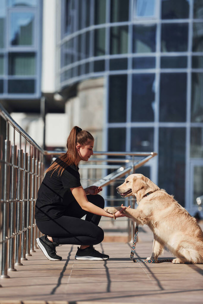 Young positive woman have fun and doing tricks with her dog when have a walk outdoors near business building. - 写真・画像
