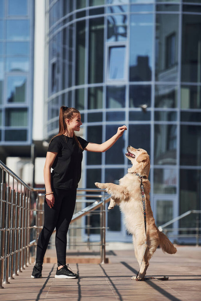 Young positive woman have fun and doing tricks with her dog when have a walk outdoors near business building. - 写真・画像