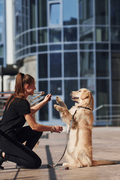 Young positive woman have fun and doing tricks with her dog when have a walk outdoors near business building. - Zdjęcie, obraz