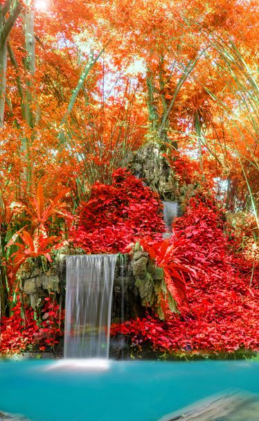 Maravillosa cascada y hoja roja en bosque profundo en el Parque Nacional
 - Foto, Imagen