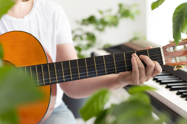 Women's hands play the guitar. Fingers pinch the strings on the fretboard. Home music making, relaxation. Biophilic interior design. Lots of houseplants. Natural daylight. - Φωτογραφία, εικόνα