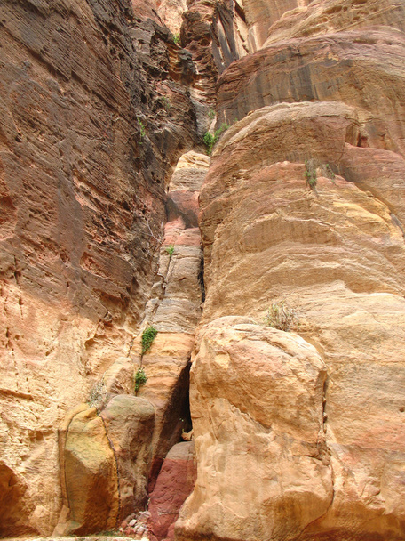 Gorge to Petra - Photo, Image