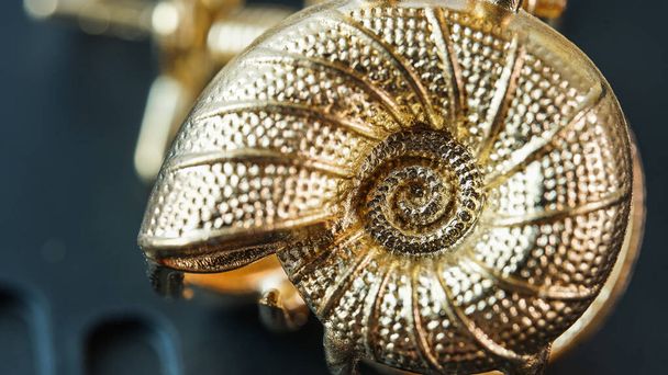 Deniz kabuğu şeklinde güzel altın saç tokası. - Fotoğraf, Görsel