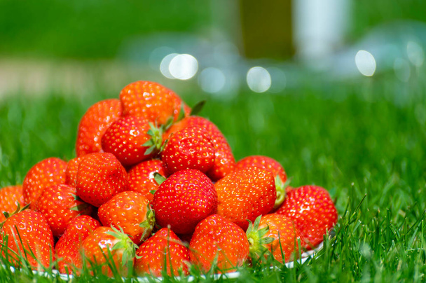 Fresh ripe red sweet organic strawberry on white board served outdoor on green grass lawn on sunny day - Foto, afbeelding