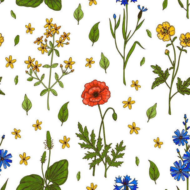 Λιβάδι λουλούδια καλοκαίρι αδιάλειπτη μοτίβο. Πολύχρωμο χέρι σχεδιάζεται διανυσματική απεικόνιση. Σχεδιασμός βοτάνων - Διάνυσμα, εικόνα