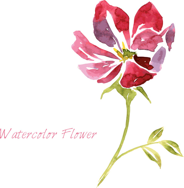 watercolor drawing flower - Vektör, Görsel