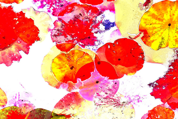 Clustered foglie di loto, elegante modello di sfondo - Foto, immagini