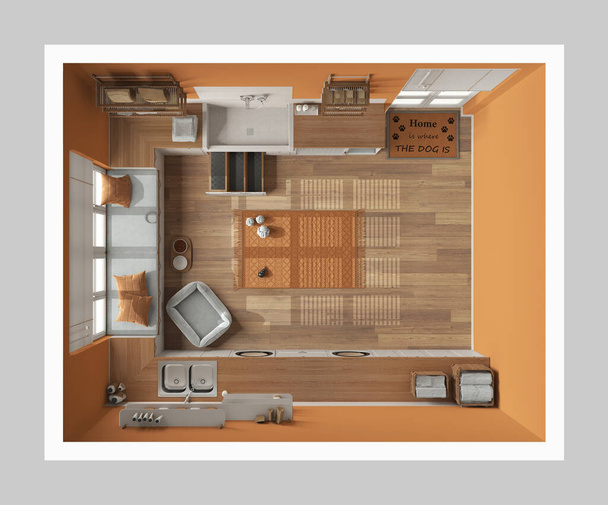 Animaux acceptés salle de lavage moderne orange et bois, armoire avec placards, étagères et équipements. Bain douche pour chien avec échelle, lit pour chien, tapis. Vue du dessus, plan, au-dessus. Design d'intérieur - Photo, image
