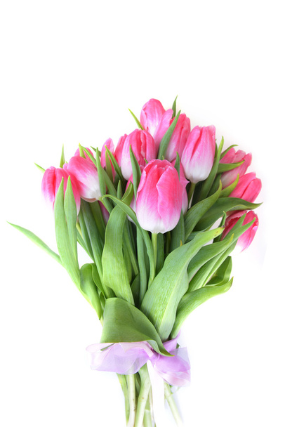 bouquet of pink tulips - 写真・画像