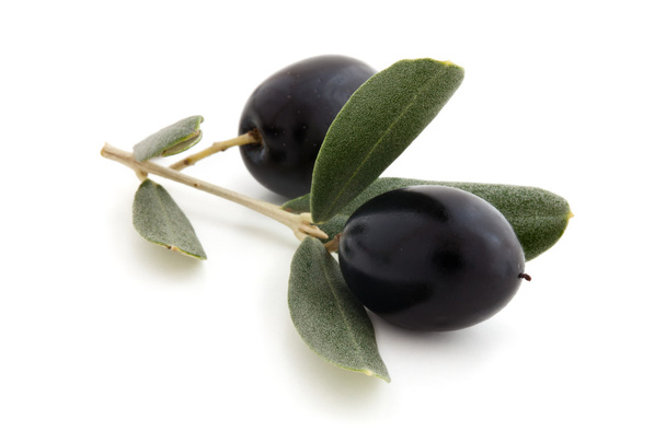 čerstvé olivy. - Fotografie, Obrázek