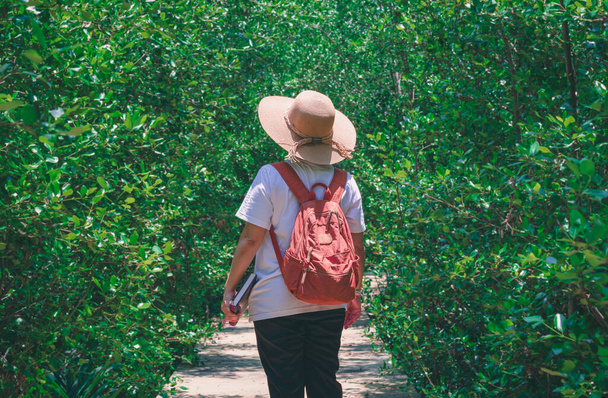 Rear view of female tourist holding note book with backpack walking on walkway in mangrove forest at natural parkland, ecotourism concept - Foto, Bild